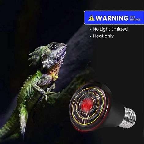 Ampoule chauffante E27 75 W en céramique pour animaux de compagnie, lampe chauffante infrarouge 220-240 V, ampoule pour reptiles, aquarium et habitat pour animaux (2 pièces) (1/5)