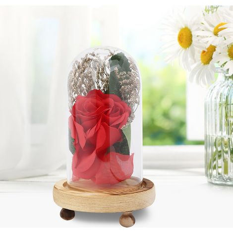 Künstliche Rose unter Glas – Dekoration für Valentinstag, Zuhause (1/5)