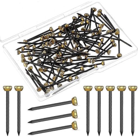 Lot de 100 clous de fixation pour tableaux, tête en laiton de 25 mm, avec boîte de rangement. Idéal pour les photos encadrées et les œuvres d'art. - NBB (1/5)