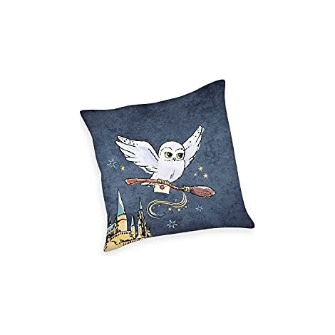 HERDING COUSSIN DÉCORATIF HARRY POTTER, 40 X 40 CM, 100% POLYESTER 5574404003412