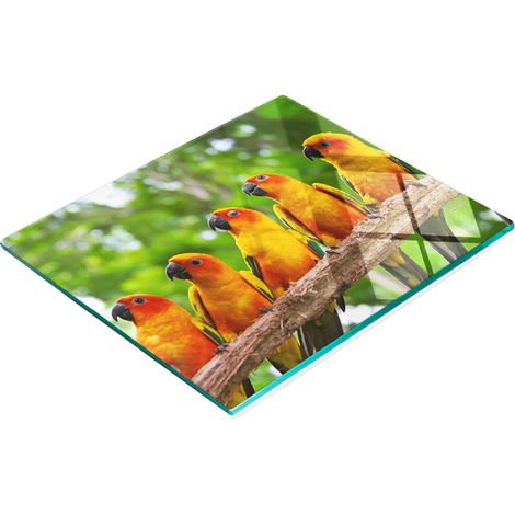 Tablero decorativo multifuncional para cocina, rama de loro endurecida, 60x52 cm (1/5)