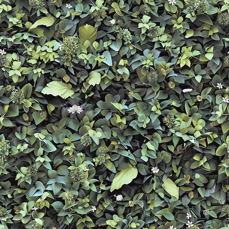 Papier peint mur végétal feuillage vert luxuriant nature tropicale