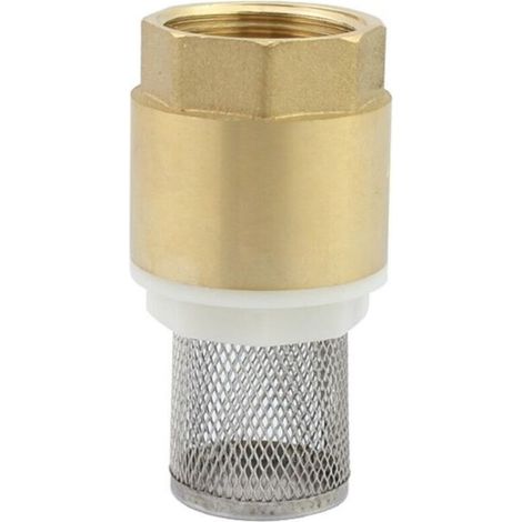 Clapet crepine anti retour vanne non retour clapet anti-retour pompe (1 pouce)