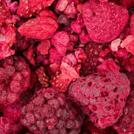 Vitapol Powerki Trésors de la forêt 20 g
