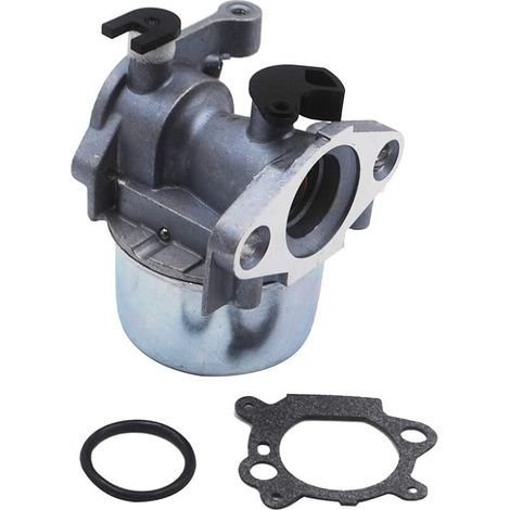 1 Carburateur pour 799871 799866 796707 790845 794304 (1/4)