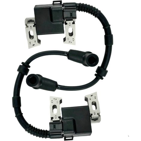 Bobina di accensione ad alta tensione (2 pezzi) per motore Gx630 Gx660 Gx690 - ALTRO (1/2)