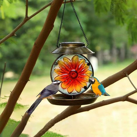 Bird Feeder - Solar Lamp - Metal Tray Outdoor Feeding Station with Warm White Light - IP55 Étanche - 21 x 18.5 cm - 1 Pièce (1/5)