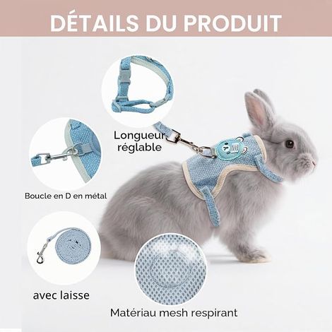 laisses réglables pour lapin nain, accessoires pour chats, petits chiens et autres petits animaux domestiques (rose et bleu) (1/4)