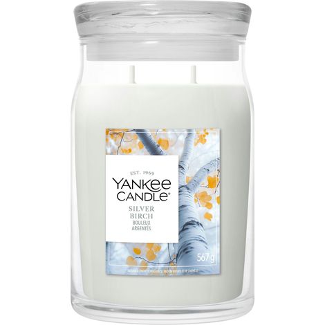 Candela Giara Grande Silver Birch 567g Neutri Yankee Candle