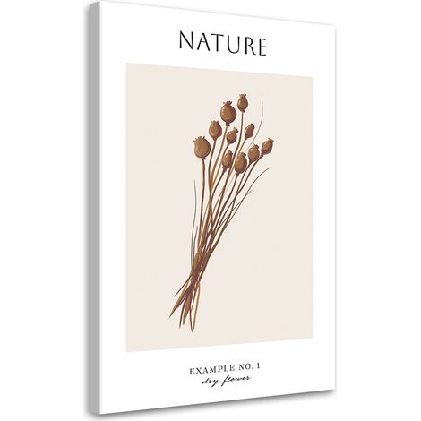 Tableau sur toile Fleur sèche - Nature 40x60 (1/5)