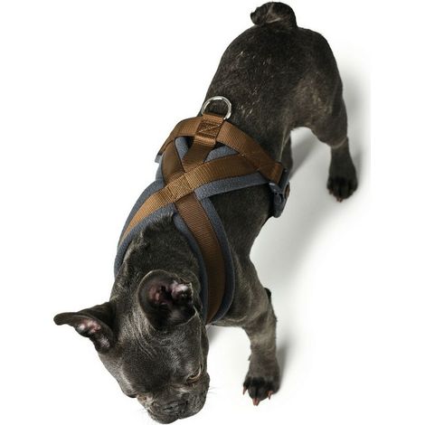 Imbracatura per Cani Hunter London Comfort 48-56 cm Marrone Taglia S/M (1/3)