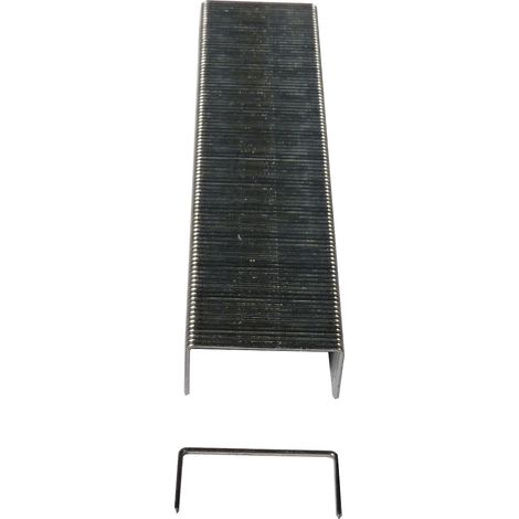Agrafes - agrafes prof. 6 mm - lot de 20000