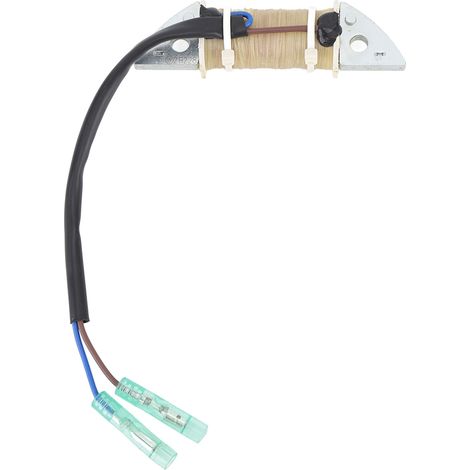 Hochleistungsfähige Metall-Zündspule für Außenbordmotoren, einfach zu installieren, leicht und kompakt, für 2-Takt-Motoren von 9,9 bis 15 PS (Ersatzteil) (1/4)