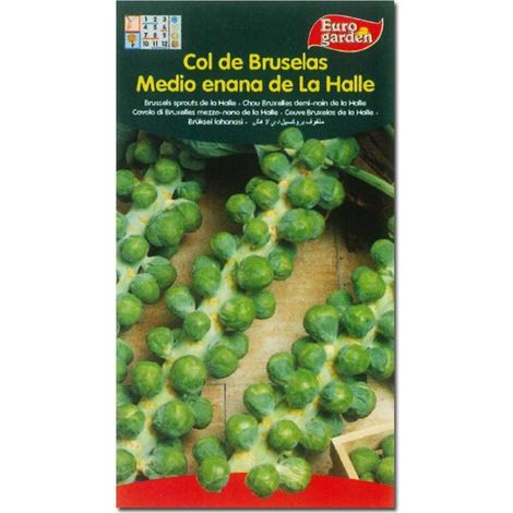 semillas fito horticolas col bruselas 1-2 enana dela halle 00056 (caja 10 unidades)