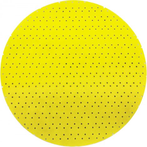 Dischi abrasivi Dedra 180 mm grana 80 perforati confezione 5