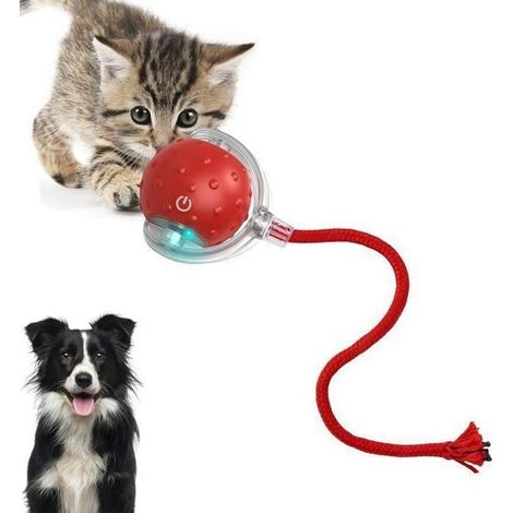 Jouet interactif pour Chat Chien jouet interactif pour chien et chat, trois modes réglables avec fonction de réveil,Rose (1/4)