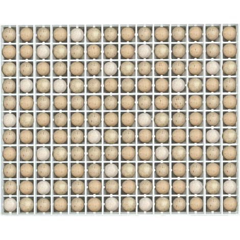 Panier d'incubation 154 oeufs de perdrix TR154 (1/3)