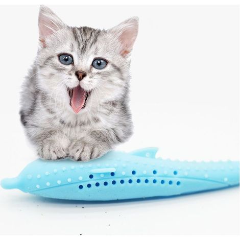 Brosse à dents en forme de poisson pour chat, animal de compagnie avec menthe pour chat, silicone (1/4)