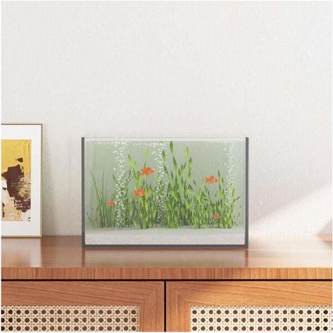 Un aquarium en verre transparent avec espace de rangement, mesurant 30 x 20 x 20 cm. (1/4)