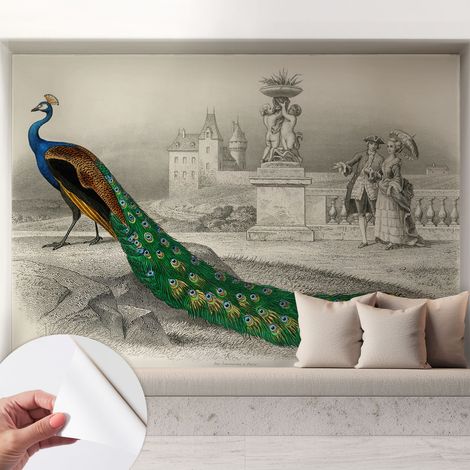 Selbstklebend Tapete - abwaschbar - Raumgestaltung Schlafzimmer Wohnzimmer Tapete Bunte Federn 208x146 cm (1/5)