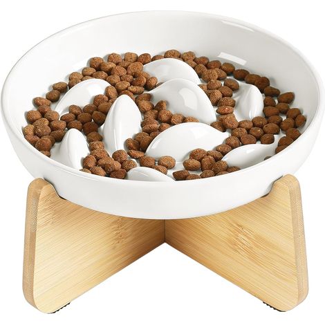 Raised Ceramic Anti Glutton Cat Bowl (1/5)