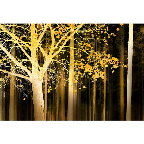 Papier peint panoramique forêt noir et jaune | Tapisserie panoramique à motif arbres | Papiers peints panoramiques parfait pour chambre - 270 x 400 cm (4 pièces) (1/2)