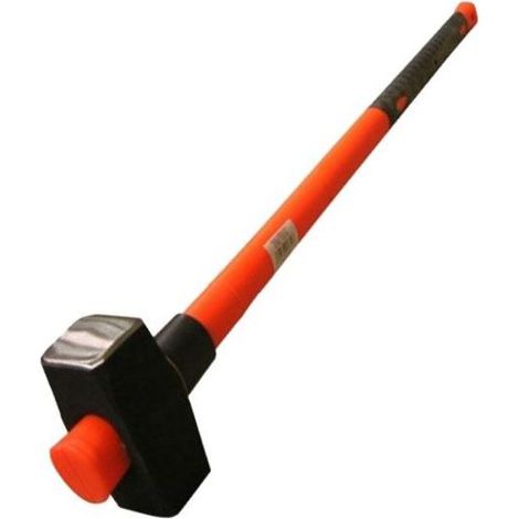 Paire de masse de 5 kg Fv/G Alte 01653