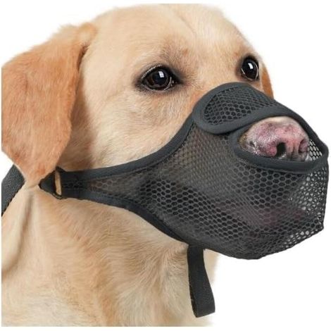 Muselière pour Chien Empêche de Mâcher/Manger/Mordre - Couvre Muselière Respirante, Muselières pour Chiens Réfléchissante et Ajustable - Anti Morsure (XL, Noir) (1/5)