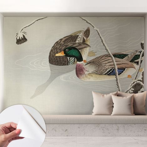 Carta da parati adesiva - lavabile - decorazione murale - per cucina - pellicola decorativa Anatre tranquille 208x146 cm