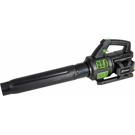 Souffleur Pro R-BAT20 40V - 2 Batteries 20V 2 Amp et Chargeur - Performance Élevée et Autonomie - D-Work