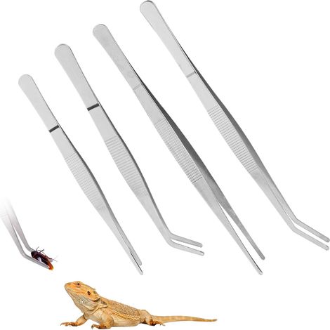 Nourriture Pince pour Reptile,4pièces en Acier Inoxydable Pince à Nourriture courbée/Droite,Accessoire pour l'alimentation des Reptiles tels Que Les Dragons barbus et Les Geckos (1/5)