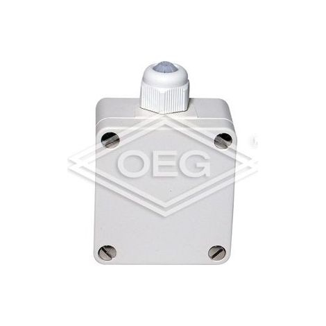 Sonde température extérieure AFP 100 avec sonde PT100