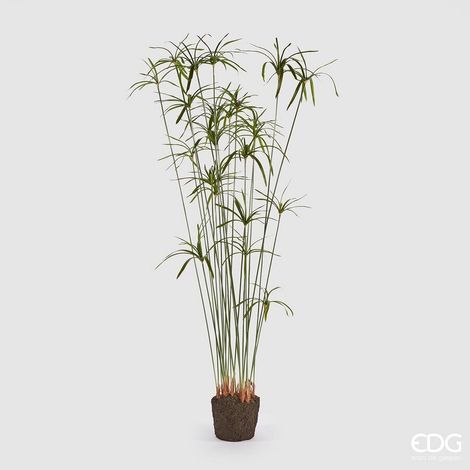 EDG Enzo De Gasperi Papiro Duke senza Zolla Artificiale H 185 Cm Green (1/3)