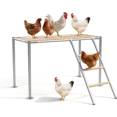 Perchoir à poulailler, kit de jeu, 105 x 60 x 60 cm, perchoirs pour poules, avec échelle et plateforme de repos, jouet extérieur pour 10 poules adultes (1/5)