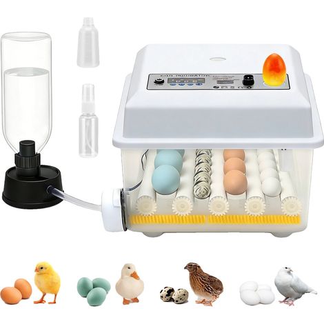 Incubadora de huevos, volteo automático de huevos, control de humedad, clara de huevo (1/5)