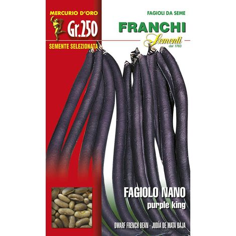 SEMI FAGIOLO NANO PURPLE KING GR.100 FRANCHI SEMENTI