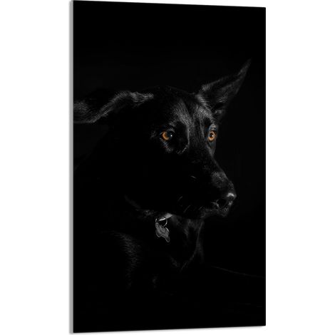 Tabla de cortar de vidrio 30x52 Perro (1/5)