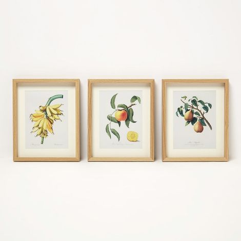 HOMESCAPES Framed Fruit Wall Art, 20 x 25 cm, Set of 3 (1/5)