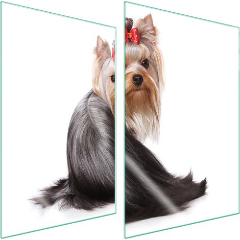 PLACA PROTECTORA DE VIDRIO PARA COCINA 2x35x52 PERRO (1/5)