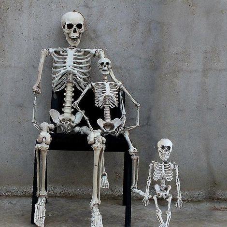Lebensgroßes Skelett als Halloween-Party-Requisite (1/5)