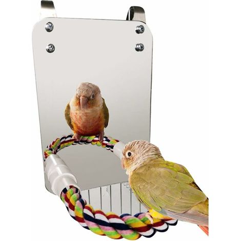 Jouet miroir pour oiseaux avec perchoir en corde, jouet à mâcher pour perroquets avec grand miroir, perchoir en forme de griffe pour cage à oiseaux, jouet à mâcher miroir pour perruches calopsittes (1/4)