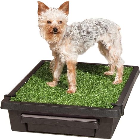 PET LOO PORTABLE PET TOILET SMALL (1/4)