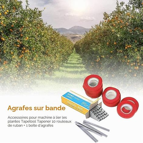 Pince à Lier, Pince de Jardin Acier Inoxydable Outil Jardinage Attacher Branche Plantes Légumes Fruits Fleurs avec Ruban et Agrafes (1/3)