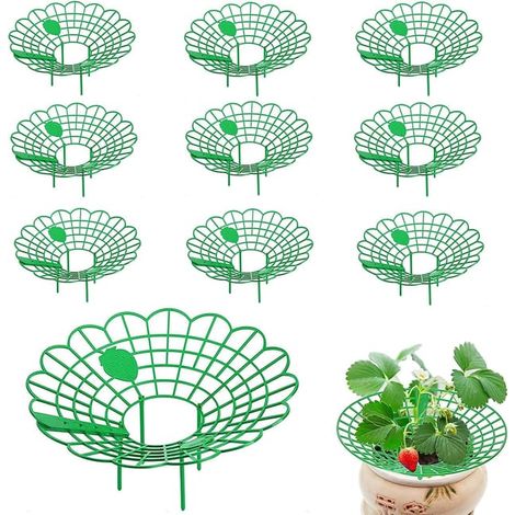 10 supports pour plantes de jardin – Tuteurs pour fraises et légumes – Maintien et soutien des cultures (1/5)