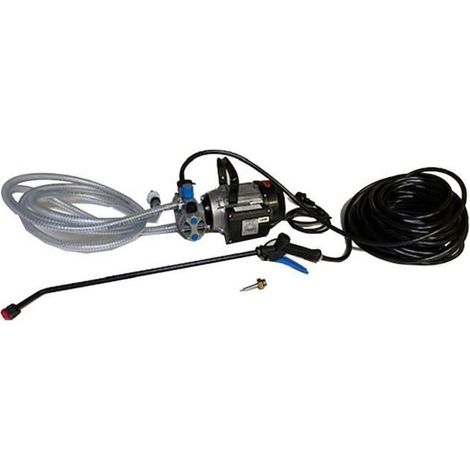 NUISIPRO Pompe injection haute pression traitement bois contre insectes xylophages (1/4)