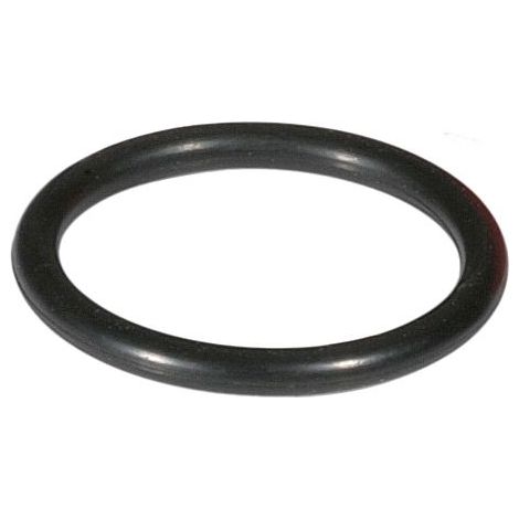 O-Ring 0901499 für Filtertasse R 1'' + R 11/4''
