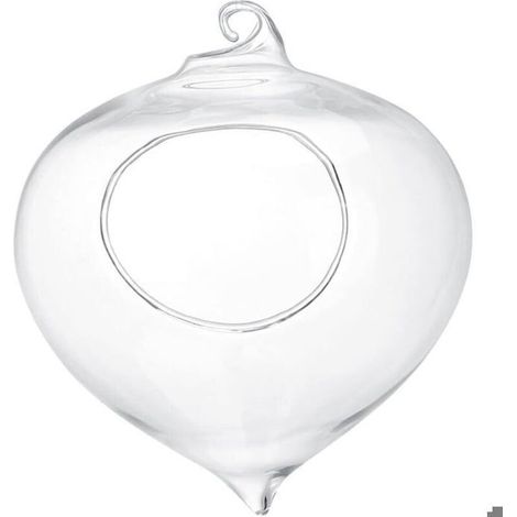 Pot de fleurs - ZOR - Vase suspendu - Verre - Pour plantes succulentes - Décoration de jardin (1/4)