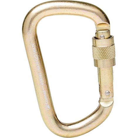 Mousqueton à Verrouillage à Vis à Porte Torsadée 45KN Pour Le Sauvetage En Rappel De La Spéléologie En Escalade (1/5)