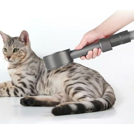 Accessori Aspirapolvere per Modelli V7 V8 V10 V11 V12 V15 - Spazzola per Animali Domestici Compatibile con Aspirapolvere e Spazzole AUTRES (1/4)