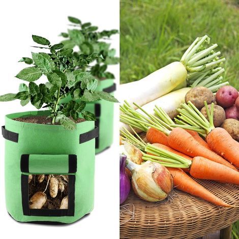 Sac à plantes en tissu non tissé - 3 pièces pour pommes de terre, légumes et fleurs (23 x 28 cm, vert) (1/5)